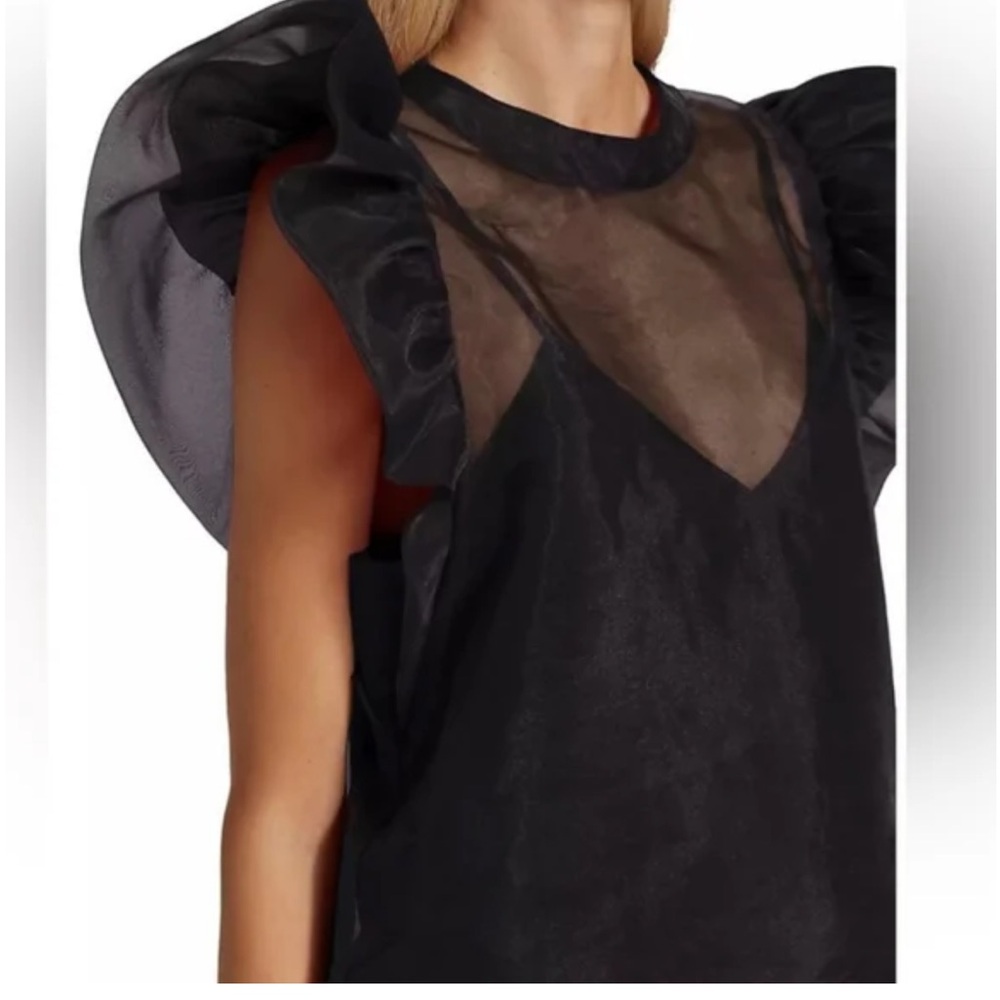 Joie Black Sheer Ruffle Top